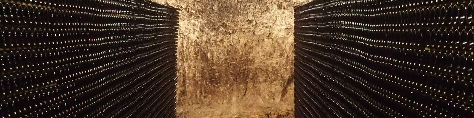 Roger Goulart