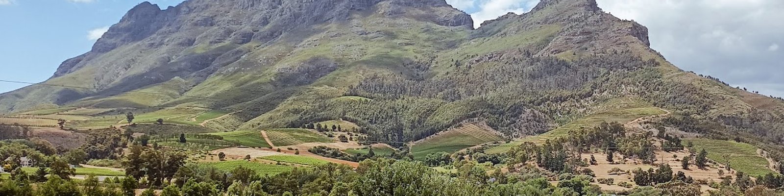Rondebosch