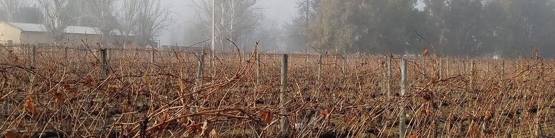 Terrazas De Los Andes