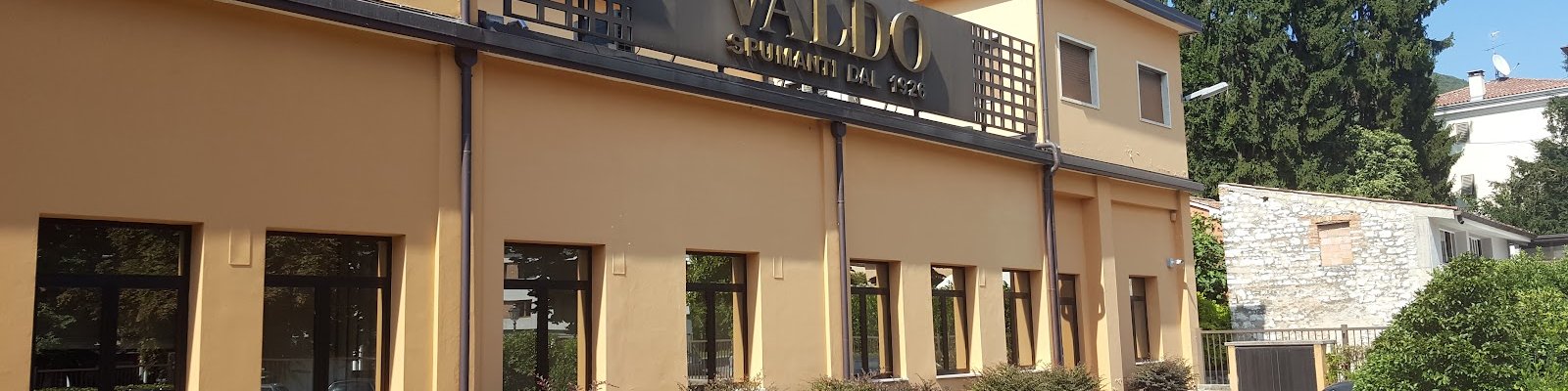 Valdo