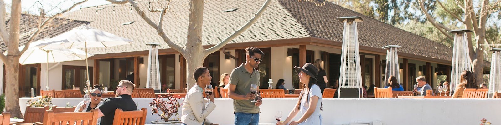 Wente Vineyard