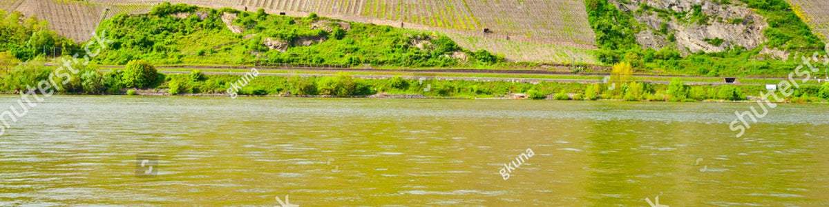 Bot River