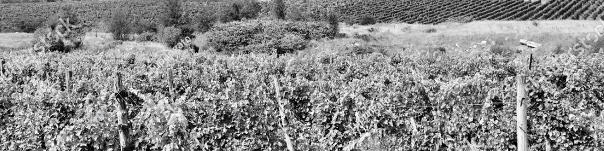 Leyda Valley