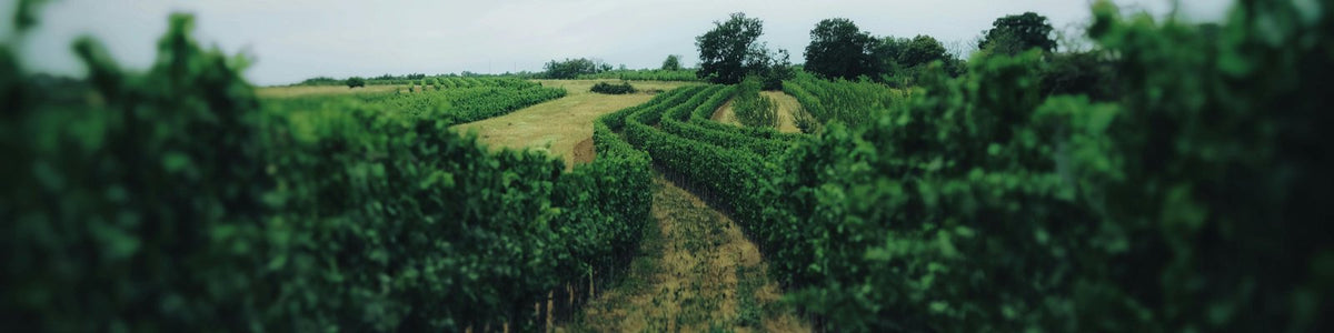 Weinviertel