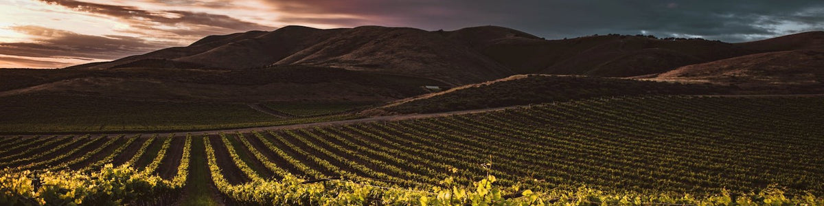 Willamette Valley