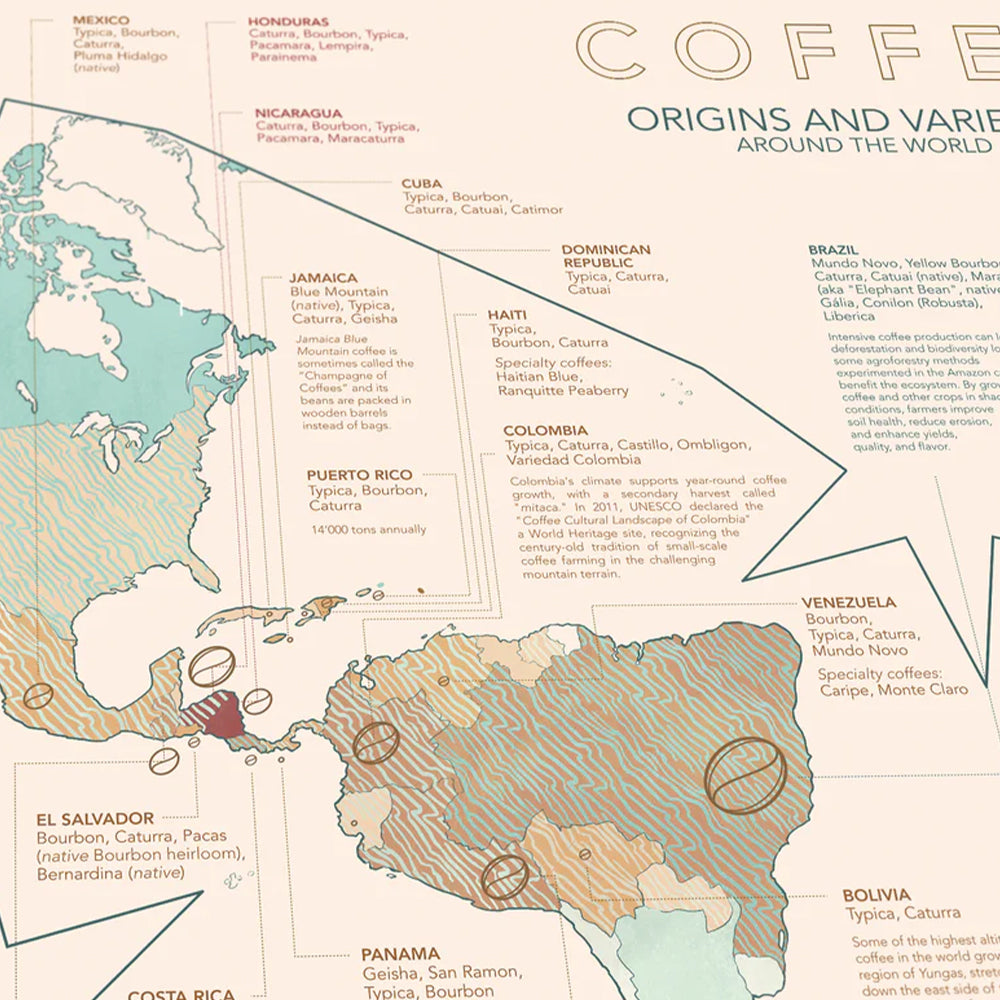 1000 Piece Puzzle - Coffee Wonderlands