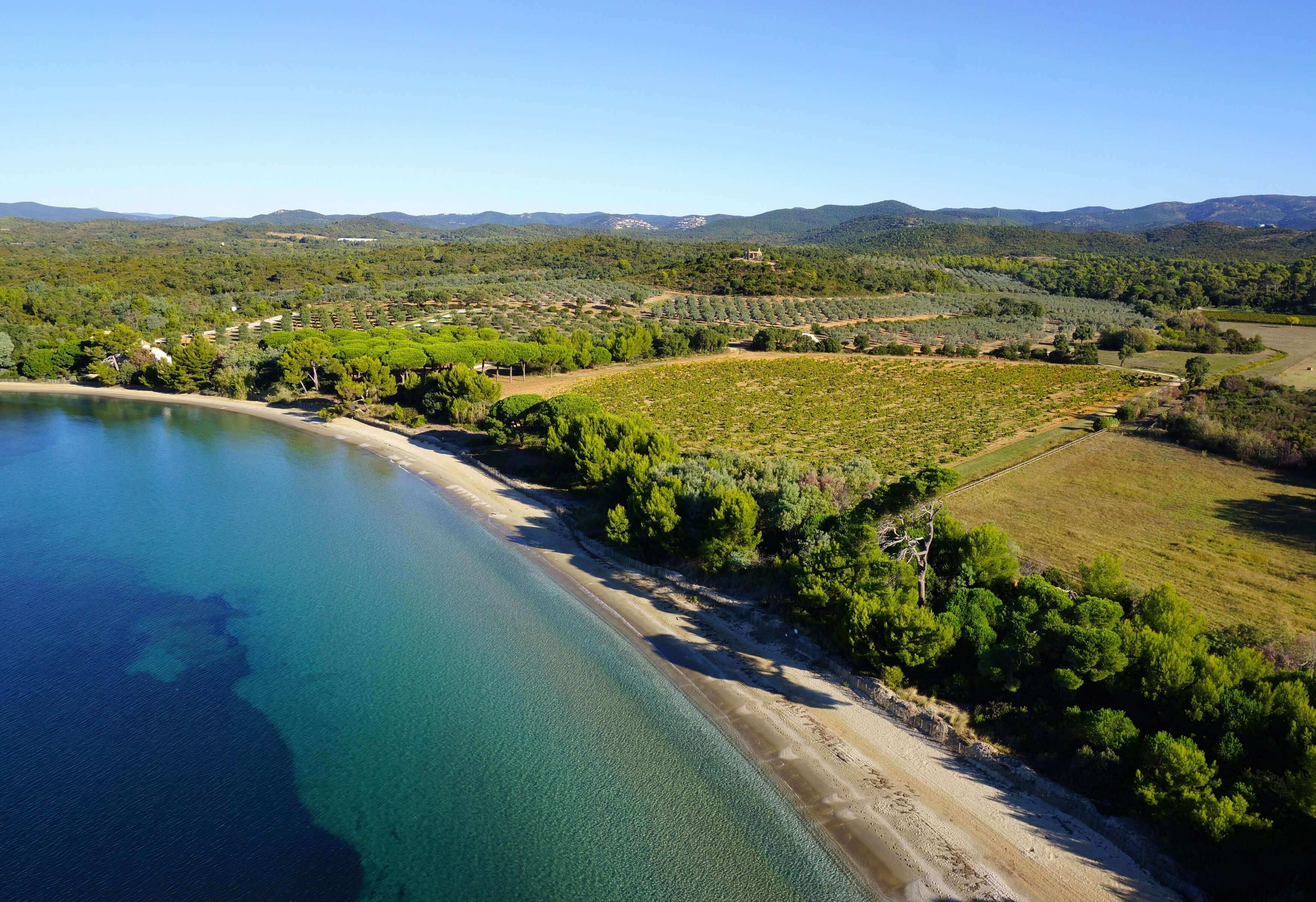 Aerial view of a scenic coastline with a calm blue sea meeting a sandy beach. The lush greenery of trees and fields stretches inland, leading to distant hills under a clear blue sky.