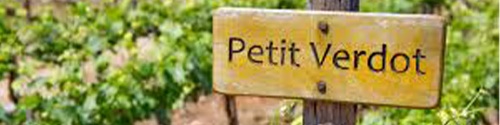 Petit Verdot