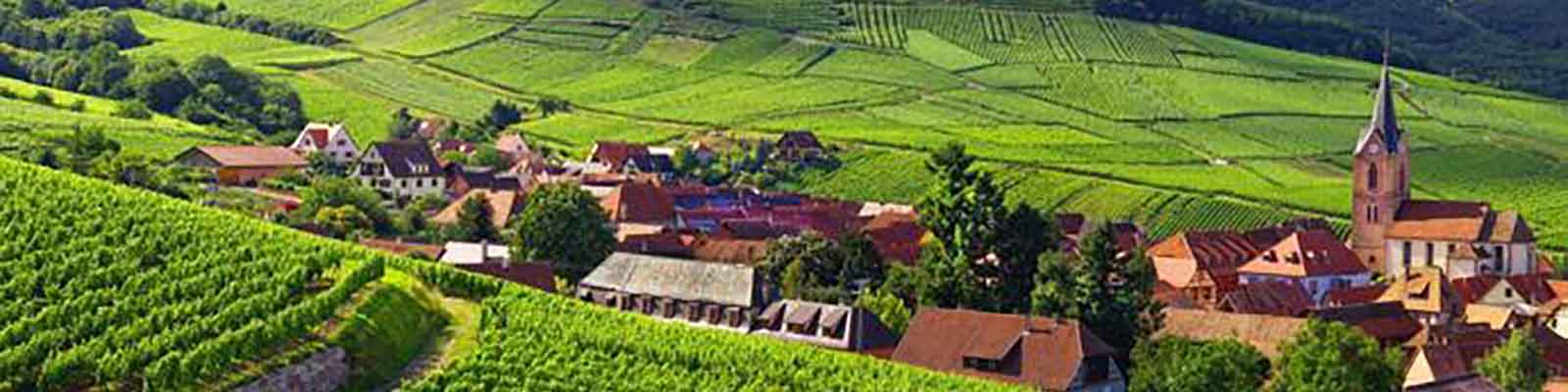 Scenic view of a quaint village surrounded by lush green vineyards and rolling hills, featuring traditional houses and a tall church steeple under a clear blue sky.