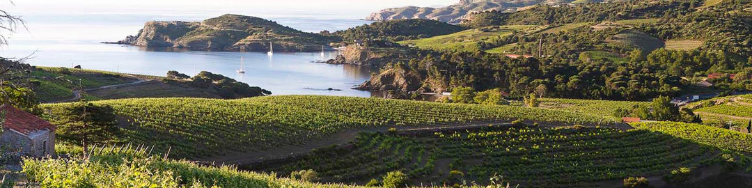 A scenic view of lush green vineyards overlooking a calm bay with sailboats. Rolling hills and a rocky coastline are visible in the background under a clear blue sky.