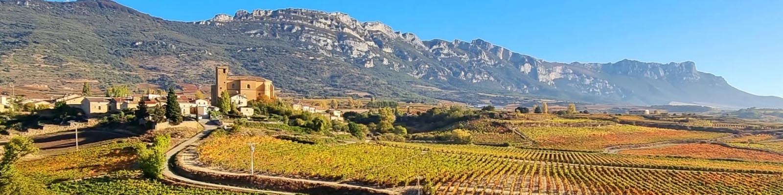 Aussicht auf einen Weinberg mit bunten Rebzeilen, ein malerisches Dorf mit einer Kirche und zerklüftete Berge unter einem klaren blauen Himmel.