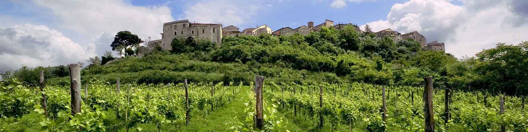 A scenic view of a hillside with lush vineyards in the foreground and a historic stone building surrounded by trees and houses on top, under a partly cloudy sky.