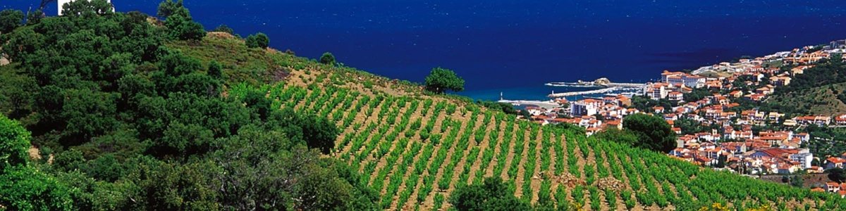 Banyuls - Onshore Cellars