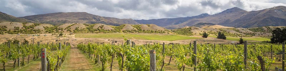 Nuestra colección de Central Otago - Encuéntrelo en Onshore Cellars su proveedor de vinos en yate