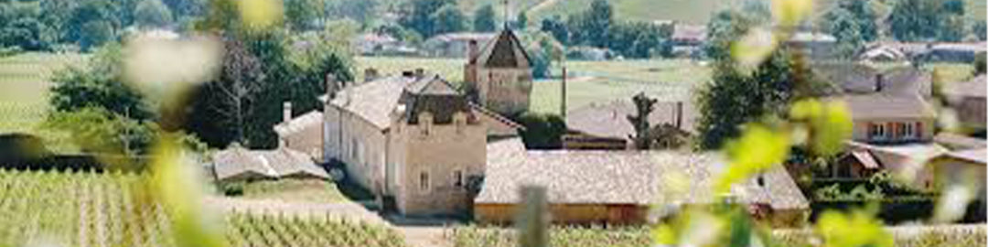 A scenic view of a vineyard with stone buildings nestled among lush, green hills. The foreground is partially blurred by leaves, framing the picturesque countryside landscape.