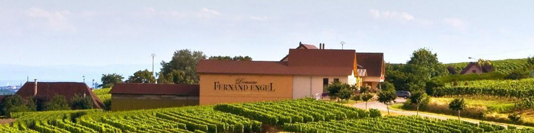 A vineyard landscape with green rows of grapevines and a large building labeled Domaine Fernand Engel in the background under a clear blue sky.