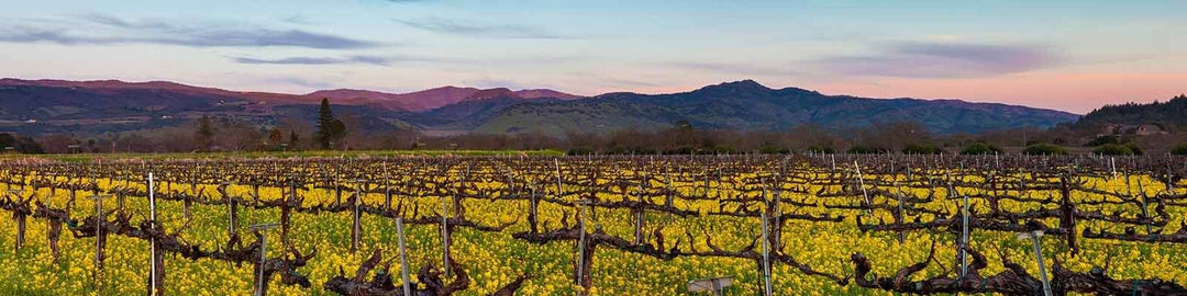 Nuestra colección de Napa Valley - Encuéntrelo en Onshore Cellars su proveedor de vinos para yates