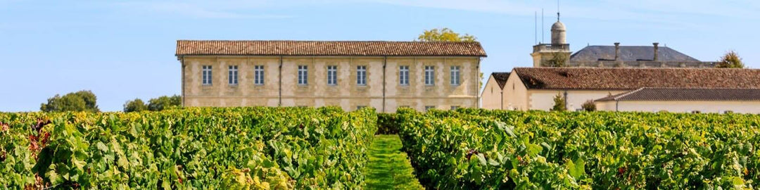 Nuestra colección de Saint Julien - Encuéntrelo en Onshore Cellars su proveedor de vinos para yates
