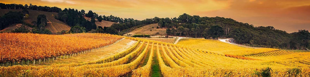 Nuestra colección de South Australia - Encuéntrelo en Onshore Cellars su proveedor de vinos en yates