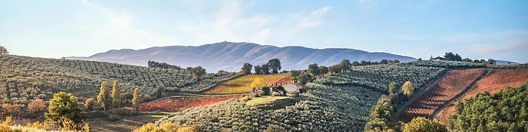 A picturesque landscape of rolling hills with olive groves, vineyards, and a charming farmhouse. The backdrop features a distant mountain range under a clear blue sky.