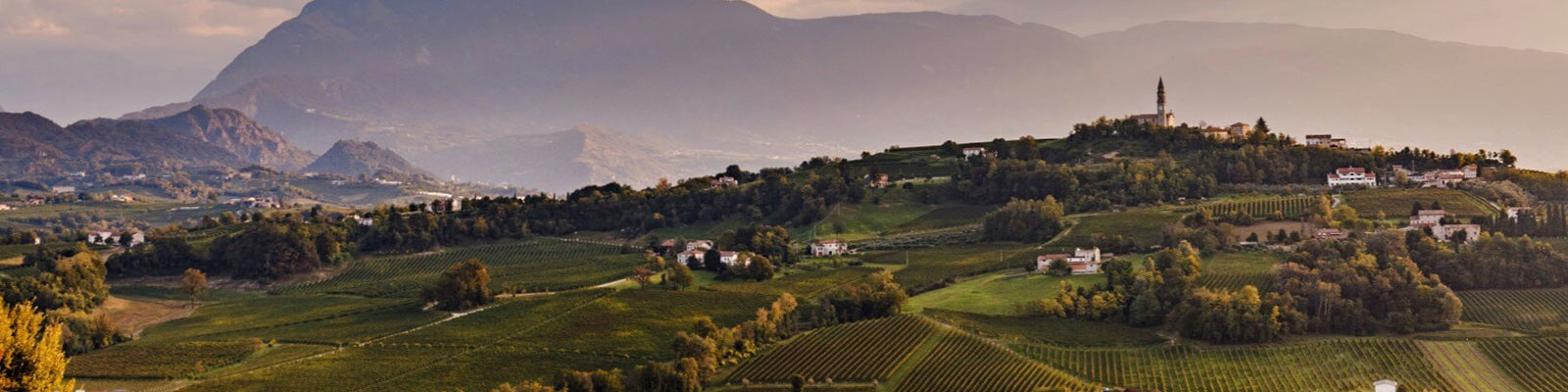 A picturesque landscape of rolling hills dotted with vineyards and small houses, with a prominent church atop a hill. Mountains loom in the background under a soft, overcast sky.