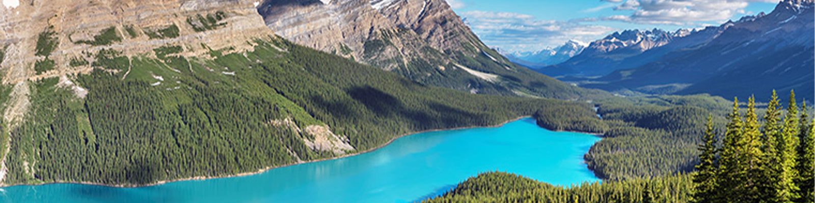 Panoramic view of a vibrant turquoise lake surrounded by dense pine forests and rugged mountains under a clear blue sky.