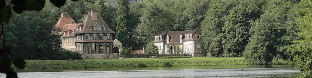 A picturesque scene of two historic buildings surrounded by lush greenery, situated by a serene lake. The architecture features classic European style with steep roofs and large windows.