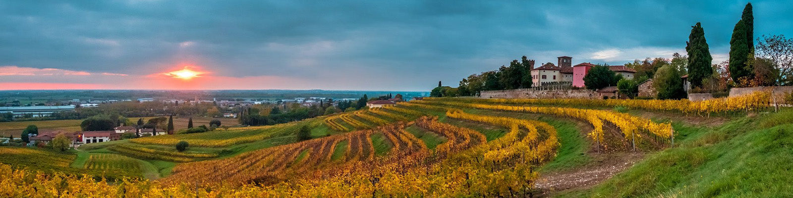 A panoramic view of a vineyard with rows of grapevines under a dramatic sunset. A small cluster of rustic buildings is nestled among trees on a hill. The sky is partly cloudy, with the sun peeking through.