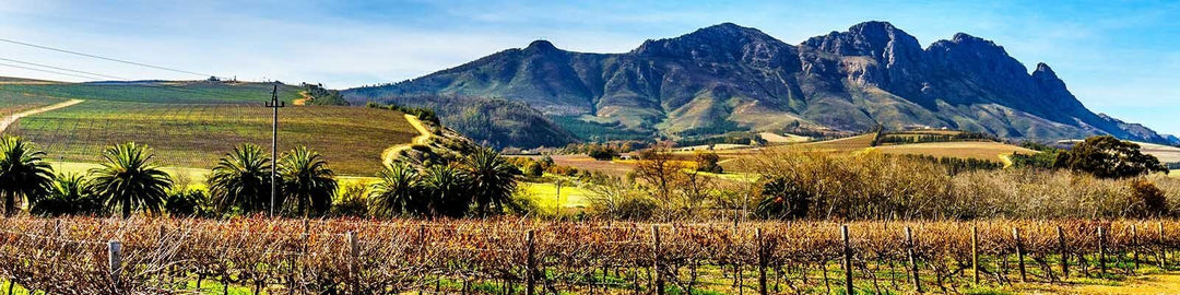 La nostra collezione di Stellenbosch - Scopritelo da Onshore Cellars, il vostro fornitore di vini per yacht.