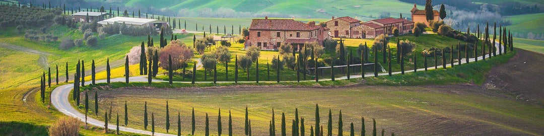 La nostra collezione di Toscana - Trovalo da Onshore Cellars il tuo fornitore di vino per yacht