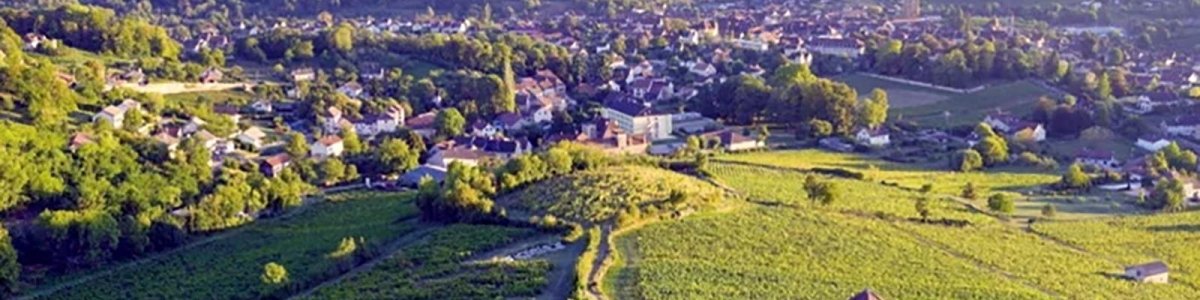 Arbois - Cantine Onshore