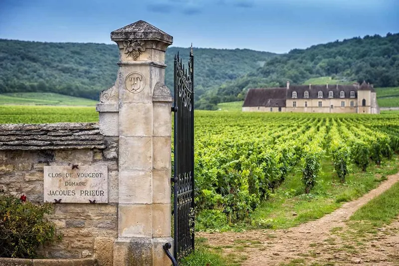 Climate Change and Its Impact on Wine and Spirits Production: A Voyage into the Future of Yacht Supply - Onshore Cellars
