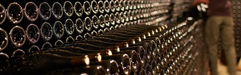 Rows of stacked wine bottles resting in a dimly lit cellar