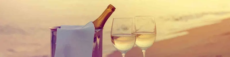The Best of Summer Wines 2021 - Onshore Cellars