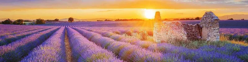 Our collection of Provence - Find this at Onshore Cellars your yacht wine supplier
