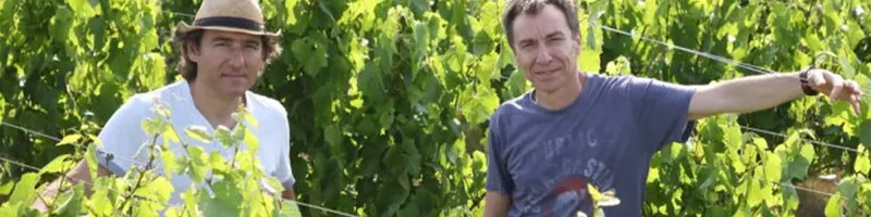 Baettig - Onshore Cellars
