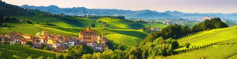 Barolo DOCG - Onshore Cellars