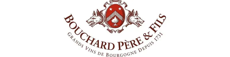 Bouchard Père & Fils - Onshore Cellars