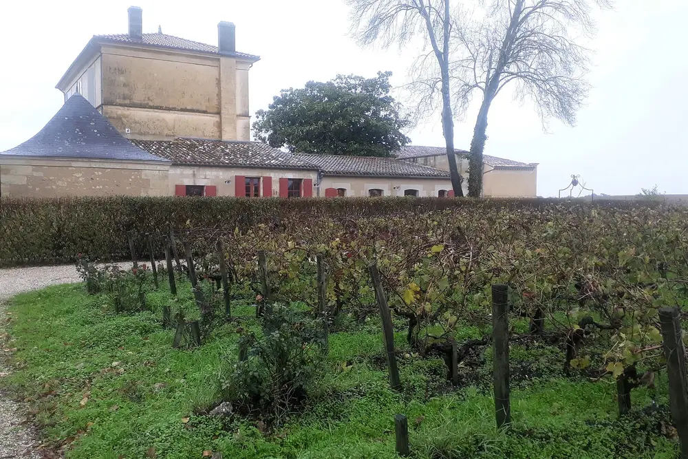 Château Haut-Bages Liberal