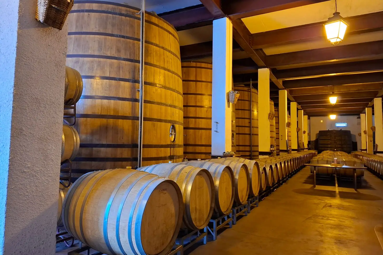 Oak barrel cellar (illustrative picture, not the producer)