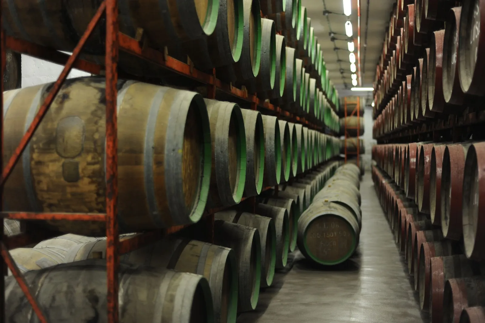 Oak barrel cellar (illustrative picture, not the producer)