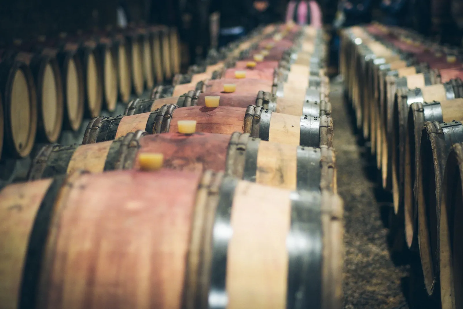 Oak barrel cellar (illustrative picture, not the producer)