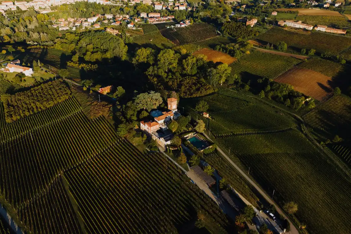 Vineyard landscape (illustrative picture)