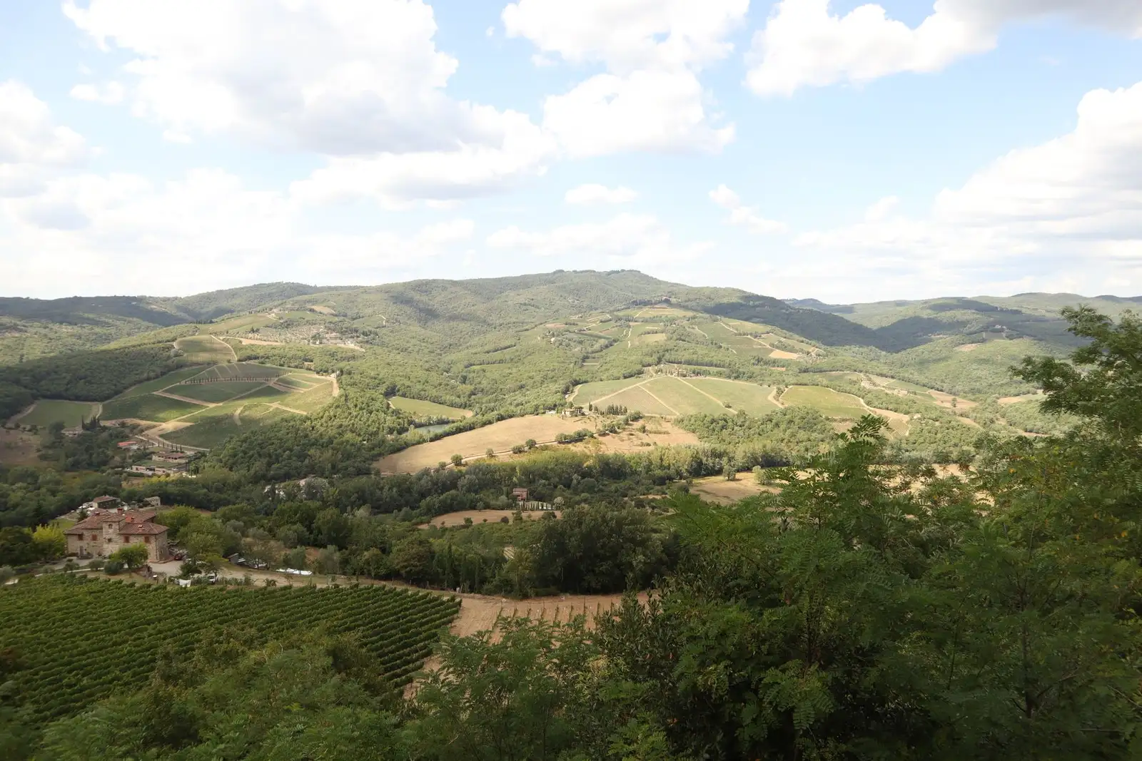 Vineyards in Tuscany, Italy