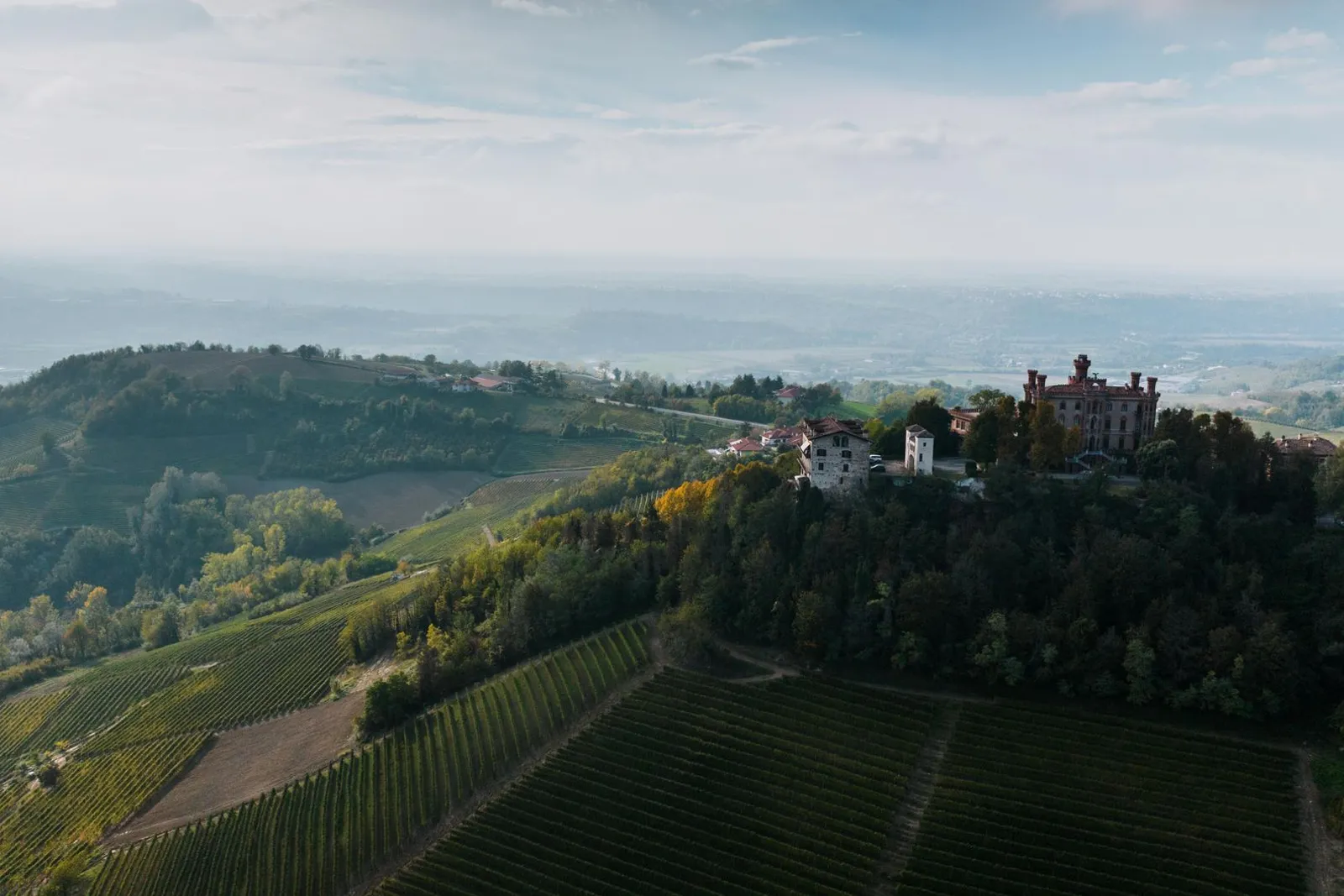 Vineyard landscape (illustrative picture)