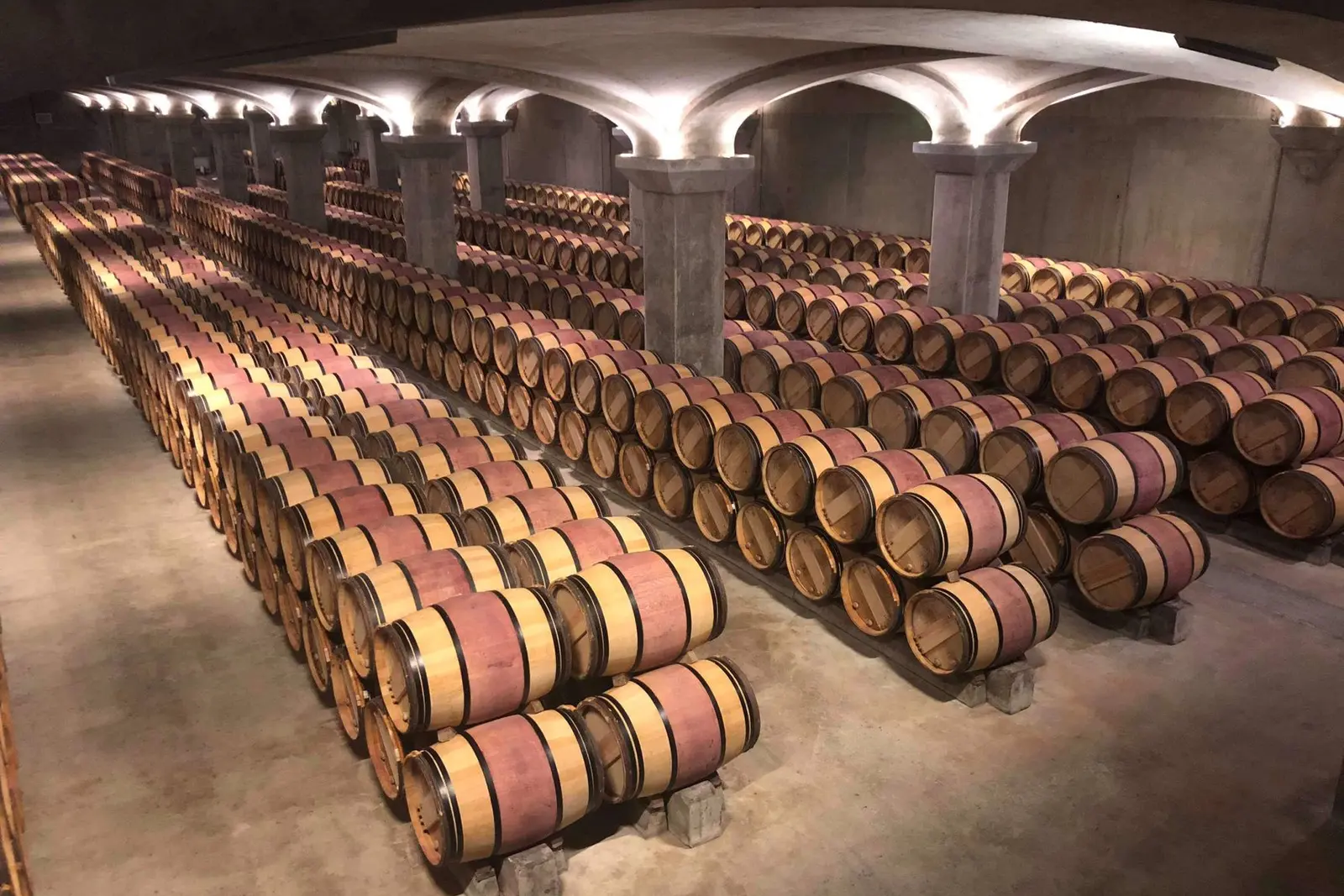 Oak barrel cellar (illustrative picture, not the producer)