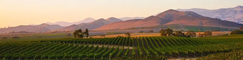 California - Onshore Cellars