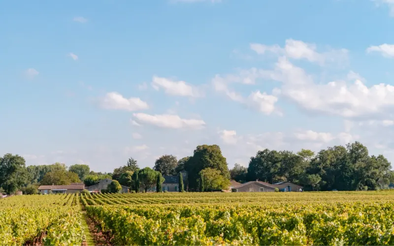 Château Doisy-Vedrines