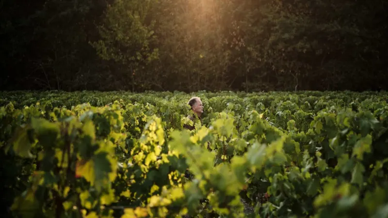 Domaine Catherine & Pierre Breton