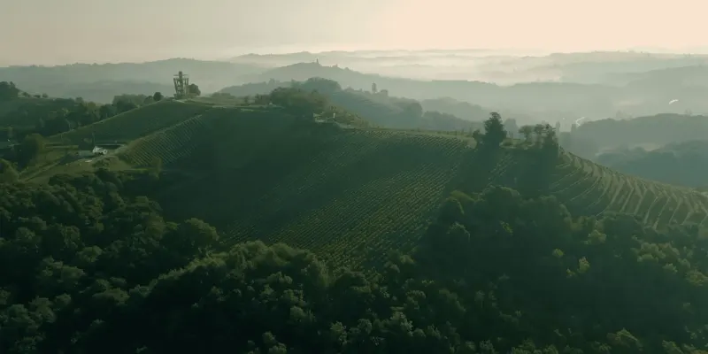 Domaine Cmrecnjak
